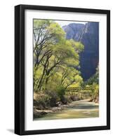 Bridge across River with Mountains in Background, Virgin River, Zion National Park, Utah, USA-Scott T. Smith-Framed Photographic Print