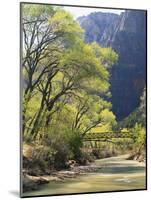 Bridge across River with Mountains in Background, Virgin River, Zion National Park, Utah, USA-Scott T. Smith-Mounted Photographic Print