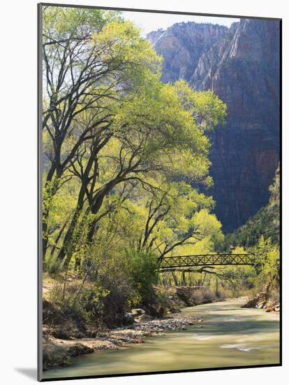 Bridge across River with Mountains in Background, Virgin River, Zion National Park, Utah, USA-Scott T. Smith-Mounted Photographic Print