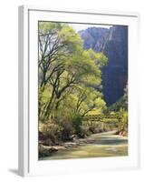 Bridge across River with Mountains in Background, Virgin River, Zion National Park, Utah, USA-Scott T. Smith-Framed Photographic Print