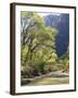 Bridge across River with Mountains in Background, Virgin River, Zion National Park, Utah, USA-Scott T. Smith-Framed Photographic Print