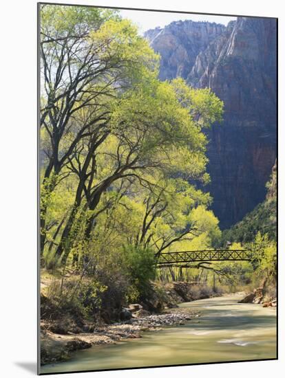 Bridge across River with Mountains in Background, Virgin River, Zion National Park, Utah, USA-Scott T. Smith-Mounted Photographic Print