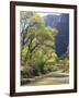 Bridge across River with Mountains in Background, Virgin River, Zion National Park, Utah, USA-Scott T. Smith-Framed Photographic Print