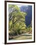 Bridge across River with Mountains in Background, Virgin River, Zion National Park, Utah, USA-Scott T. Smith-Framed Photographic Print