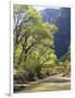 Bridge across River with Mountains in Background, Virgin River, Zion National Park, Utah, USA-Scott T. Smith-Framed Photographic Print