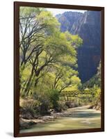 Bridge across River with Mountains in Background, Virgin River, Zion National Park, Utah, USA-Scott T. Smith-Framed Photographic Print