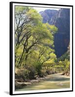 Bridge across River with Mountains in Background, Virgin River, Zion National Park, Utah, USA-Scott T. Smith-Framed Photographic Print