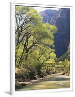 Bridge across River with Mountains in Background, Virgin River, Zion National Park, Utah, USA-Scott T. Smith-Framed Photographic Print