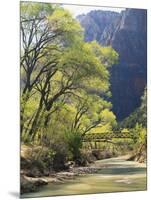 Bridge across River with Mountains in Background, Virgin River, Zion National Park, Utah, USA-Scott T. Smith-Mounted Photographic Print