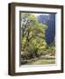 Bridge across River with Mountains in Background, Virgin River, Zion National Park, Utah, USA-Scott T. Smith-Framed Photographic Print