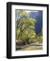 Bridge across River with Mountains in Background, Virgin River, Zion National Park, Utah, USA-Scott T. Smith-Framed Photographic Print