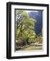 Bridge across River with Mountains in Background, Virgin River, Zion National Park, Utah, USA-Scott T. Smith-Framed Photographic Print