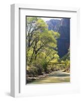 Bridge across River with Mountains in Background, Virgin River, Zion National Park, Utah, USA-Scott T. Smith-Framed Photographic Print