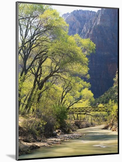 Bridge across River with Mountains in Background, Virgin River, Zion National Park, Utah, USA-Scott T. Smith-Mounted Photographic Print