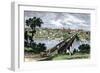 Bridge across the Tennessee River at Knoxville, 1870s-null-Framed Giclee Print