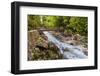 Bridge across the Zadlascica River Canyon, Tolman Gorges, Triglav National Park, Slovenia, Europe-Matthew Williams-Ellis-Framed Photographic Print