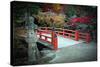 Bridge and Autumn Colours in Miyajima Japan-Neale Cousland-Stretched Canvas