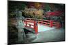 Bridge and Autumn Colours in Miyajima Japan-Neale Cousland-Mounted Premium Photographic Print