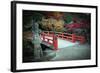 Bridge and Autumn Colours in Miyajima Japan-Neale Cousland-Framed Photographic Print