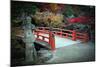 Bridge and Autumn Colours in Miyajima Japan-Neale Cousland-Mounted Photographic Print