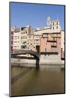 Bridge and Brightly Painted Houses on the Bank of the Riu Onyar-Martin Child-Mounted Photographic Print