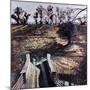 Bridge and Dog, 2000-Peter Wilson-Mounted Giclee Print
