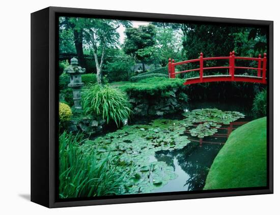 Bridge and Pond of Japanese Style Garden, Kildare, Ireland-Tony Wheeler-Framed Stretched Canvas