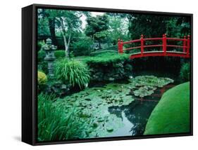 Bridge and Pond of Japanese Style Garden, Kildare, Ireland-Tony Wheeler-Framed Stretched Canvas