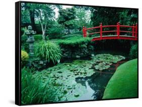 Bridge and Pond of Japanese Style Garden, Kildare, Ireland-Tony Wheeler-Framed Stretched Canvas