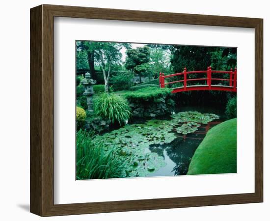 Bridge and Pond of Japanese Style Garden, Kildare, Ireland-Tony Wheeler-Framed Photographic Print