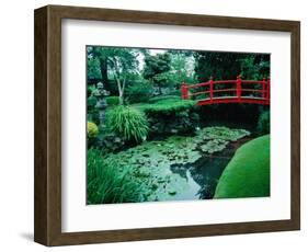 Bridge and Pond of Japanese Style Garden, Kildare, Ireland-Tony Wheeler-Framed Photographic Print