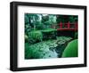 Bridge and Pond of Japanese Style Garden, Kildare, Ireland-Tony Wheeler-Framed Photographic Print