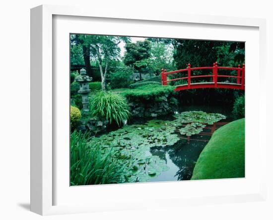 Bridge and Pond of Japanese Style Garden, Kildare, Ireland-Tony Wheeler-Framed Photographic Print