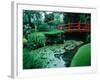 Bridge and Pond of Japanese Style Garden, Kildare, Ireland-Tony Wheeler-Framed Photographic Print