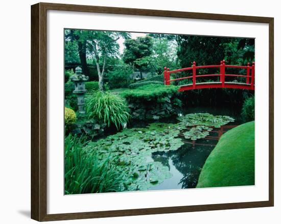 Bridge and Pond of Japanese Style Garden, Kildare, Ireland-Tony Wheeler-Framed Photographic Print