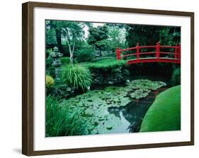 Bridge and Pond of Japanese Style Garden, Kildare, Ireland-Tony Wheeler-Framed Photographic Print