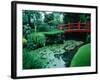 Bridge and Pond of Japanese Style Garden, Kildare, Ireland-Tony Wheeler-Framed Photographic Print