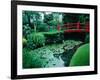 Bridge and Pond of Japanese Style Garden, Kildare, Ireland-Tony Wheeler-Framed Photographic Print