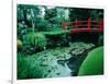 Bridge and Pond of Japanese Style Garden, Kildare, Ireland-Tony Wheeler-Framed Photographic Print