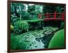 Bridge and Pond of Japanese Style Garden, Kildare, Ireland-Tony Wheeler-Framed Photographic Print