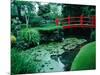 Bridge and Pond of Japanese Style Garden, Kildare, Ireland-Tony Wheeler-Mounted Photographic Print