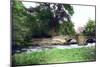 Bridge at Haddon Hall Stately Home, Derbyshire, 1926-null-Mounted Giclee Print