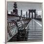 Bridge Beauty-Assaf Frank-Framed Giclee Print