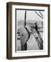 Bridge Building America-null-Framed Photographic Print