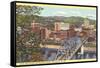 Bridge, Charleston, West Virginia-null-Framed Stretched Canvas