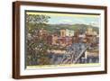 Brown Frame