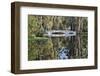 Bridge crossing pond Springtime azalea blooming, Charleston, South Carolina.-Darrell Gulin-Framed Photographic Print