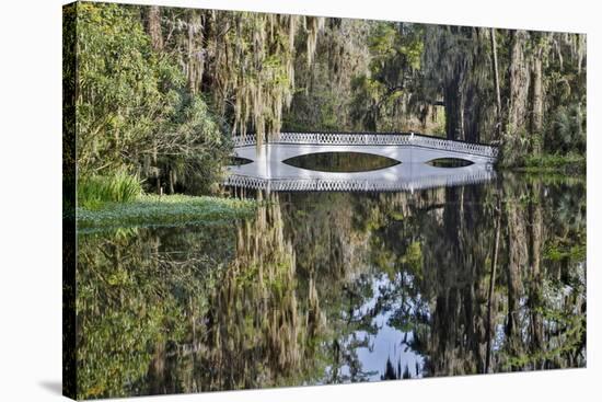 Bridge crossing pond Springtime azalea blooming, Charleston, South Carolina.-Darrell Gulin-Stretched Canvas