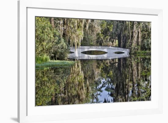 Bridge crossing pond Springtime azalea blooming, Charleston, South Carolina.-Darrell Gulin-Framed Premium Photographic Print