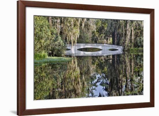 Bridge crossing pond Springtime azalea blooming, Charleston, South Carolina.-Darrell Gulin-Framed Premium Photographic Print